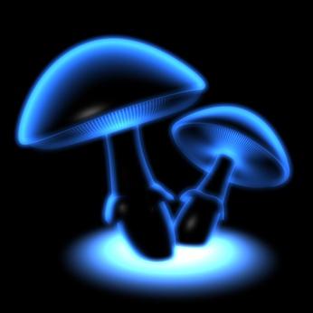 Glowing Mushrooms